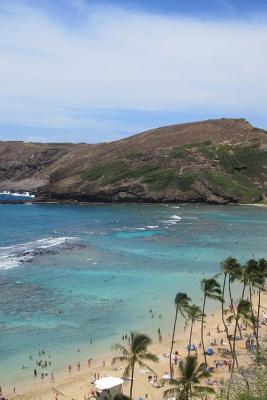 Read Hanauma Bay Beach, Hawaii: Blank 150 Page Lined Journal for Your Thoughts, Ideas, and Inspiration - NOT A BOOK file in ePub