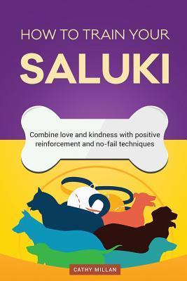 Download How to Train Your Saluki (Dog Training Collection): Combine Love and Kindness with Positive Reinforcement and No-Fail Techniques - Cathy Millan file in ePub