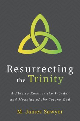 Read Resurrecting the Trinity: A Plea to Recover the Wonder and Meaning of the Triune God - M James Sawyer file in PDF