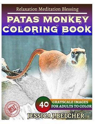 Download Patas Monkey Coloring Book for Adults Relaxation Meditation Blessing: Sketches Coloring Book 40 Grayscale Images - Jessica Belcher file in PDF