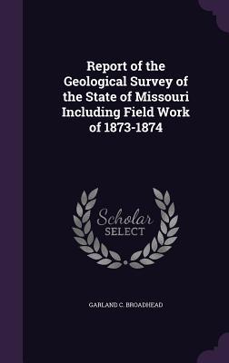 Read Report of the Geological Survey of the State of Missouri Including Field Work of 1873-1874 - Garland C Broadhead | PDF