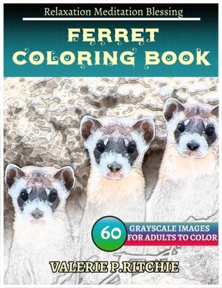 Read online FERRET Coloring book for Adults Relaxation Meditation Blessing: Sketches Coloring Book 60 Grayscale Images - Valerie Ritchie | ePub