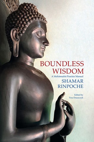 Download Boundless Wisdom: A Mahamudra Practice Manual - Shamar Rinpoché | ePub