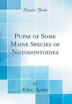 Download Pupae of Some Maine Species of Notodontoidea (Classic Reprint) - Edna Mosher file in ePub